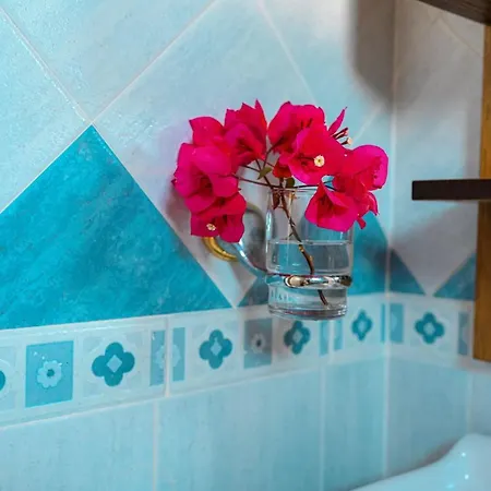 Paros Hidden Gem - Seaview Cycladic Escape بيت ريفي دريوس